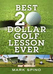 Best 20 Dollar Golf Lesson Ever